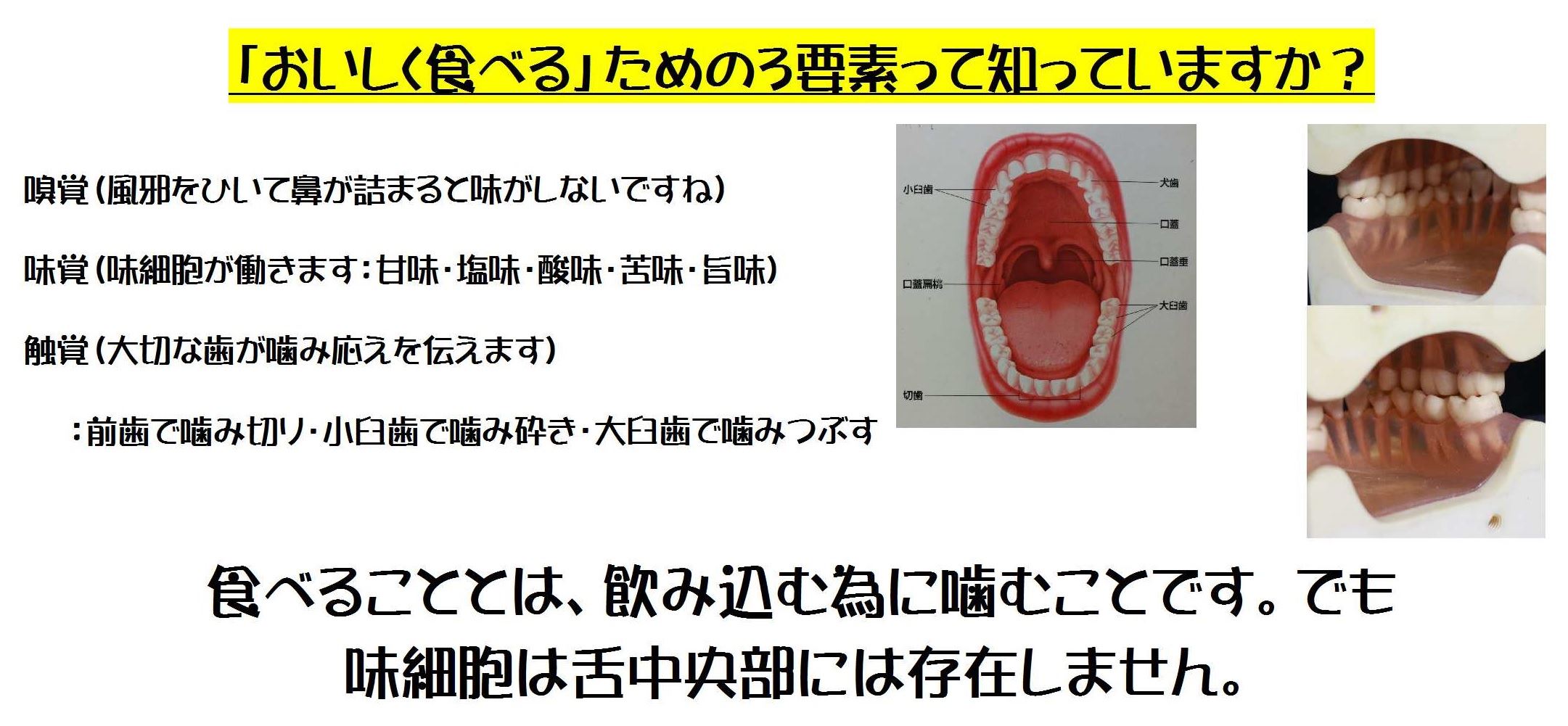 原田歯科医院　メイン画像